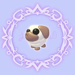 Snowball Pug