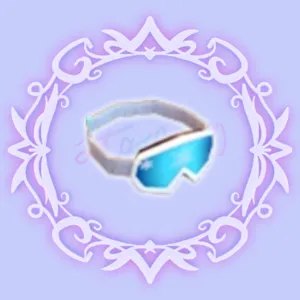 Ski Goggles