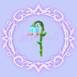Ảnh niêm yết
