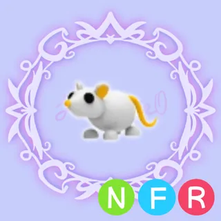 NFR Golden Rat