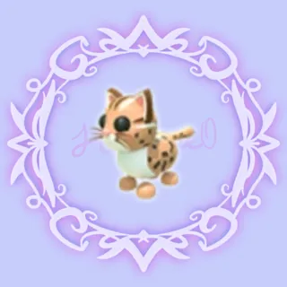 Leopard Cat