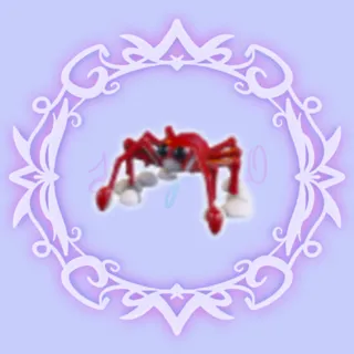 Spider Crab
