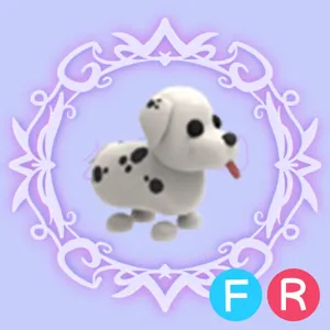 FR Dalmation