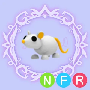 NFR Golden Rat