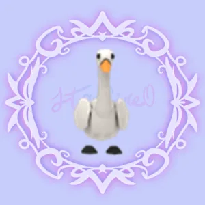 Swan