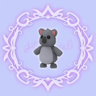 Koala