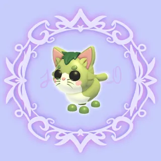 Matcha Cat