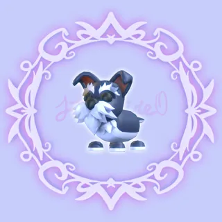 Mini Schnauzer