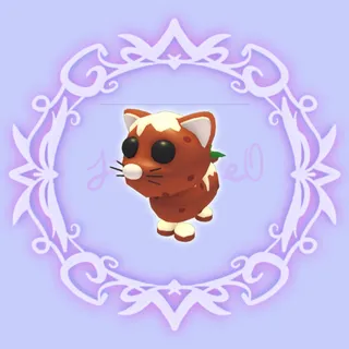 Pudding Cat