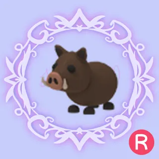R Wild Boar