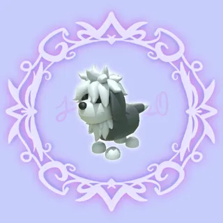 English Sheepdog 