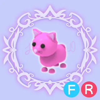 FR Pink Cat