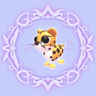 Cheetah
