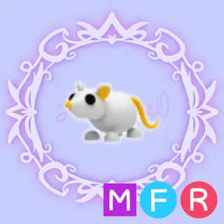 MFR Golden Rat