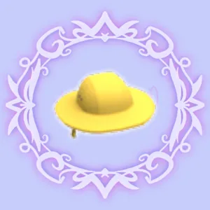 Rain Hat