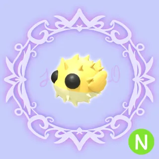 N Puffer Fish