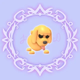 Toy Poodle