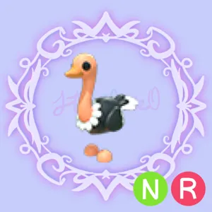 NR Ostrich