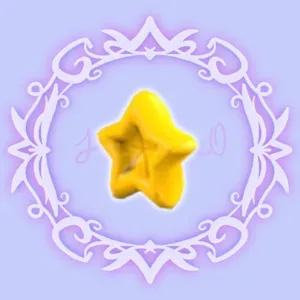 Star Hoodie
