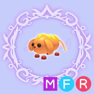 MFR Corn Doggo