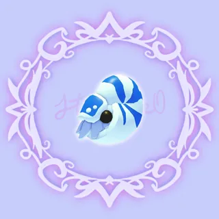Nautilus 