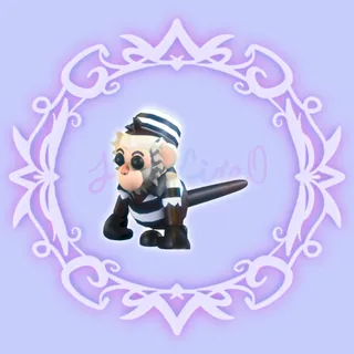 Inmate Capuchin Monkey