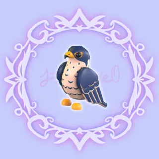 Peregrine Falcon