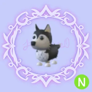 N Husky