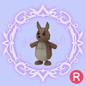 R Kangaroo