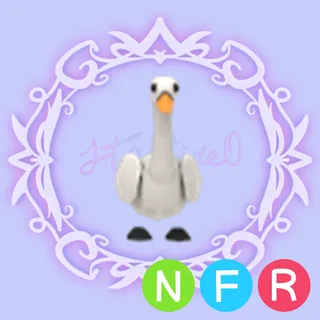 NFR Swan