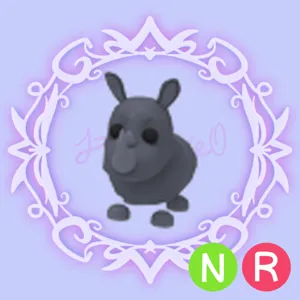 NR Rhino