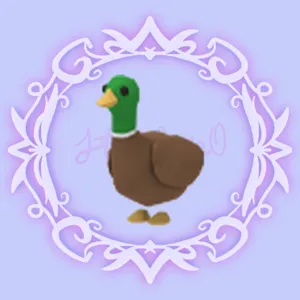 Drake