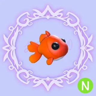 N Goldfish