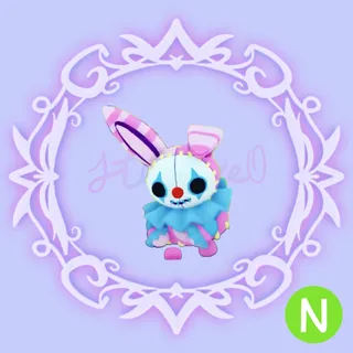 N Stitches 
