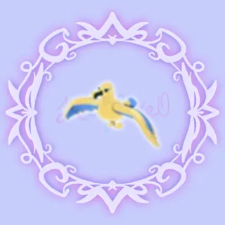 Golden Albatross 