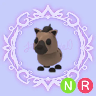 NR Hyena