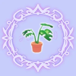 Monstera Plant Pot