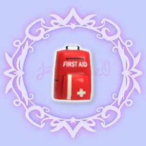 First Aid Bag