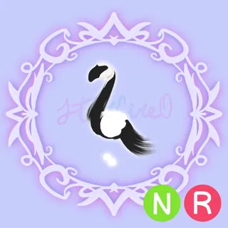NR Slimingo