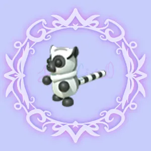 Ring-tailed Lemur