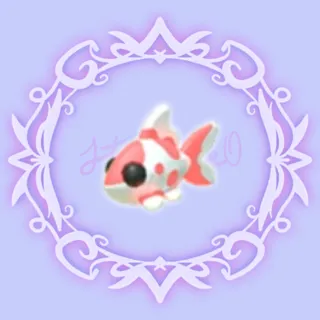 Koi Carp