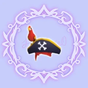 Pirate Hat & Friend