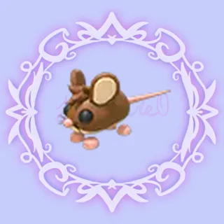 Field Mouse - FULL GROWN