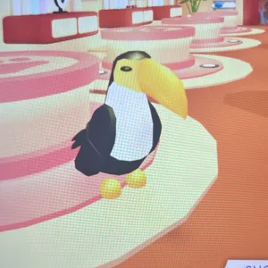 Toucan