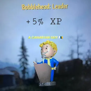 100 LEADER