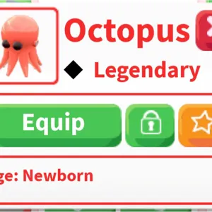 octopus