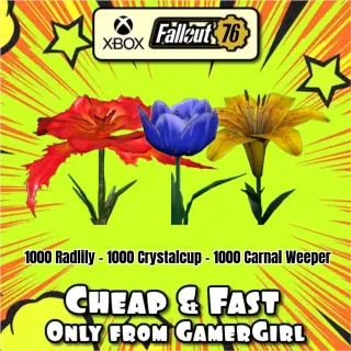 Flower Bundle 9000 Big Bloom Flowers