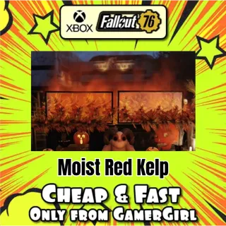 5x Moist Red Kelp Displayable Misc Collectible  XBOX - 