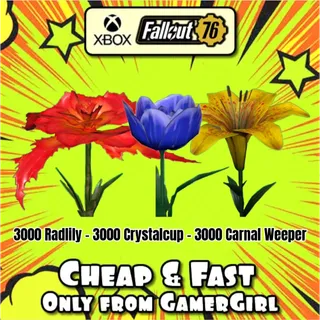 Flower Bundle 9000 Big Bloom Flowers