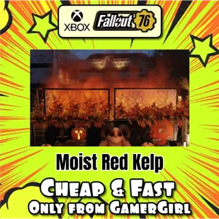 3x Moist Red Kelp Displayable Misc Collectible  XBOX - 